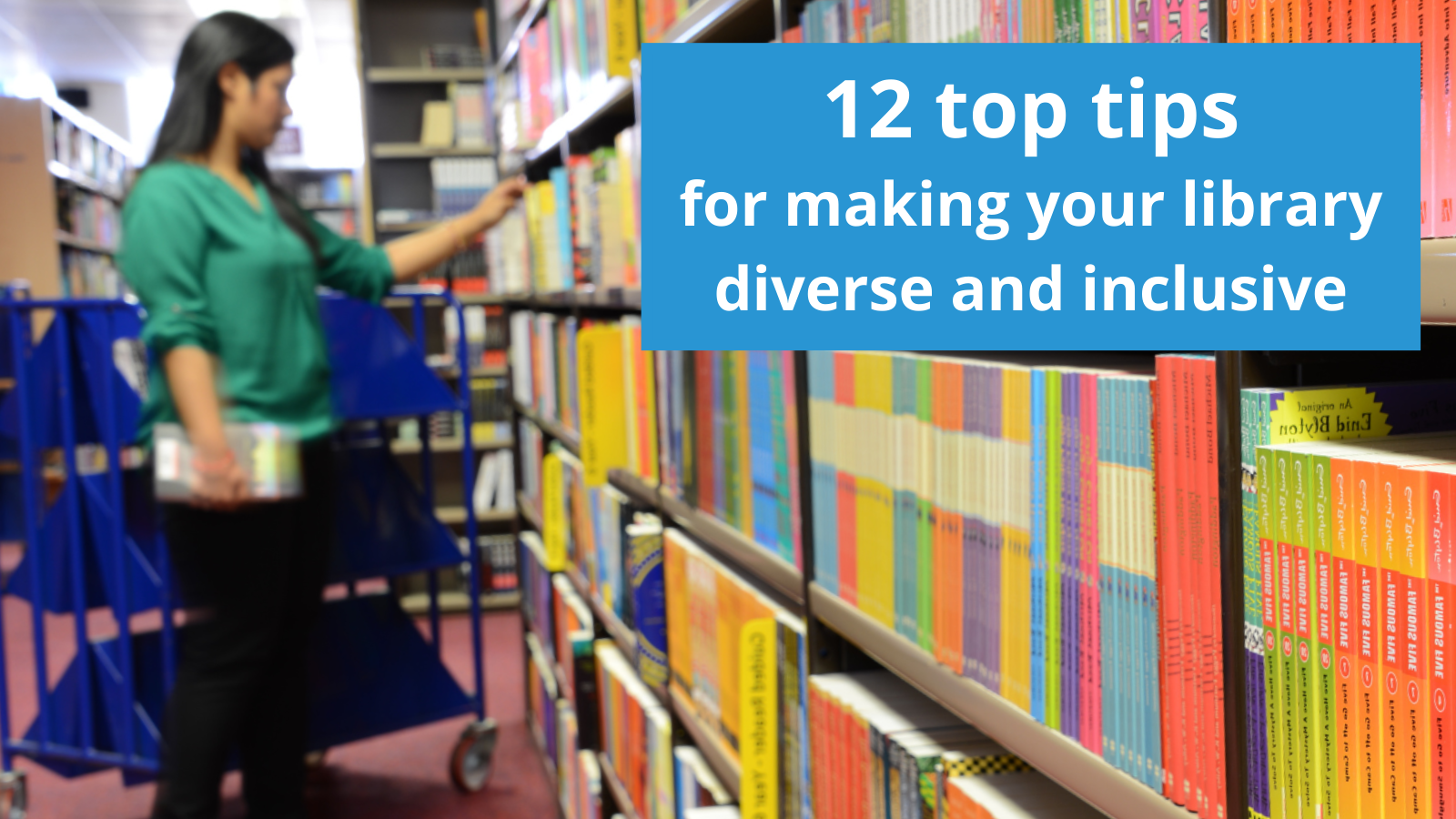 Library books about diversity for the school curriculum 